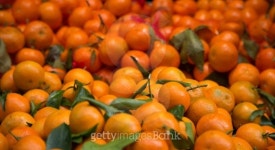 Clementines 이미지 (468734393) - 게티이미지뱅크 Clementines
