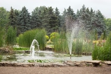 Beautiful Garden 이미지 (515260639) - 게티이미지뱅크 Beautiful Garden