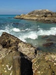 Tropical landscape 이미지 (475527433) - 게티이미지뱅크 Tropical landscape