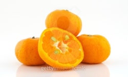 Citrus close up 이미지 (517046027) - 게티이미지뱅크 Citrus close up