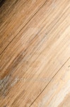 Surface of the tree in nature 이미지 (492732355) - 게티이미지뱅크 Surface of the tree in nature