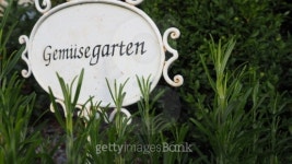 GemÃ¼segarten 이미지 (508816077) - 게티이미지뱅크 GemÃ¼segarten