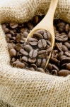 Coffee beans in a sack 이미지 (463277273) - 게티이미지뱅크 Coffee beans in a sack