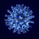 Micro Organism 이미지 (466771809) - 게티이미지뱅크 Micro Organism