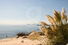 San Vicente beach en El Grove, Galicia, Spain 이미지 (462882953) - 게티이미지뱅크 San Vicente beach en El Grove, Galicia, Spain