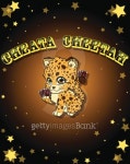 Cheata Cheetah 이미지 (497542857) - 게티이미지뱅크 Cheata Cheetah