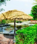 seating and grass umbrella  beside lake 이미지 (463275281) - 게티이미지뱅크 seating and grass umbrella  beside lake