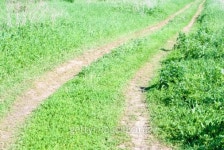 rural road in countryside 이미지 (478408741) - 게티이미지뱅크 rural road in countryside