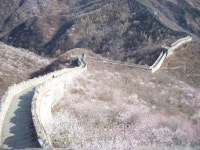 The Great Wall of China 이미지 (507651539) - 게티이미지뱅크 The Great Wall of China