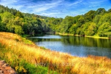 English river with trees and blue sky in colourful HDR 이미지 (488833099) - 게티이미지뱅크 English river with trees and blue... 