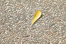 Background texture of stone 이미지 (483834265) - 게티이미지뱅크 Background texture of stone