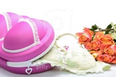 Female small suitcase for storing lingerie and rose flowers 이미지 (494097459) - 게티이미지뱅크 Female small suitcase for... 