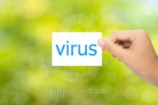 virus 이미지 (510793679) - 게티이미지뱅크 virus