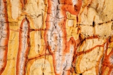 bstract   of a broke  stone 이미지 (477224517) - 게티이미지뱅크 bstract   of a broke  stone