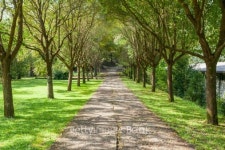 beautiful street 이미지 (487204701) - 게티이미지뱅크 beautiful street