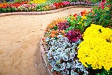 way in the garden 이미지 (465115145) - 게티이미지뱅크 way in the garden
