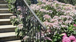 Park area. 이미지 (517444905) - 게티이미지뱅크 Park area.