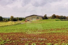 Agricultural 이미지 (518945953) - 게티이미지뱅크 Agricultural