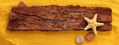 Woden signboard. 이미지 (481496797) - 게티이미지뱅크 Woden signboard.