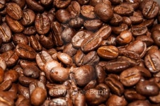coffee bean1 이미지 (495760353) - 게티이미지뱅크 coffee bean1