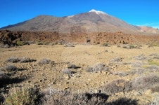 Desert Landscape 이미지 (463424251) - 게티이미지뱅크 Desert Landscape