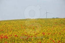 Beautiful southern Poland landscape 이미지 (476797361) - 게티이미지뱅크 Beautiful southern Poland landscape