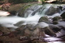 Deep forest Waterfall 이미지 (496193135) - 게티이미지뱅크 Deep forest Waterfall