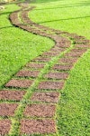 Stone walkway 이미지 (514689673) - 게티이미지뱅크 Stone walkway