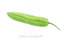 Bitter melon isolated on white 이미지 (498764765) - 게티이미지뱅크 Bitter melon isolated on white
