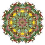 Circle lace ornament, round ornamental geometric doily pattern 이미지 (517266423) - 게티이미지뱅크 Circle lace ornament... 