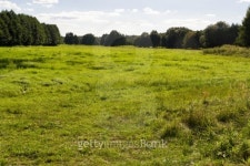 Meadow 이미지 (467243127) - 게티이미지뱅크 Meadow