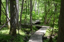 Crooked Path Through Woods 이미지 (500480067) - 게티이미지뱅크 Crooked Path Through Woods