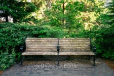 Park Bench 이미지 (501798375) - 게티이미지뱅크 Park Bench