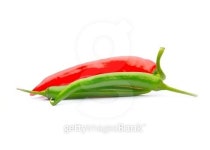 hot chili pepper isolated on a white backgroun 이미지 (502273041) - 게티이미지뱅크 hot chili pepper isolated on a white backgroun