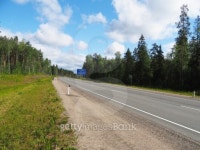 asphalt road in the forest 이미지 (507240197) - 게티이미지뱅크 asphalt road in the forest