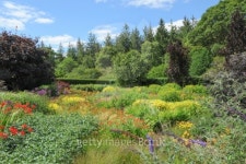 Vivid, vibrant coloured flowerbed in a traditional garden in Devon. 이미지 (504908543) - 게티이미지뱅크 Vivid, vibrant... 