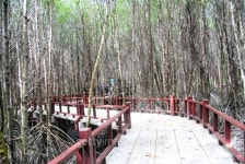 bridge wth red fence 이미지 (488003307) - 게티이미지뱅크 bridge wth red fence