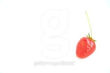 Strawberry 이미지 (512796673) - 게티이미지뱅크 Strawberry
