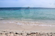 Beach in Palomino 이미지 (521725281) - 게티이미지뱅크 Beach in Palomino