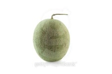 Cantaloupe melon isolated on white background 이미지 (495210551) - 게티이미지뱅크 Cantaloupe melon isolated on white background