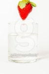 Beautiful California Strawberry 이미지 (475706461) - 게티이미지뱅크 Beautiful California Strawberry