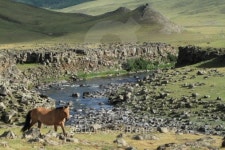 Die mongolische Steppe im Nationalpark Orkhon Tal 이미지 (47729...