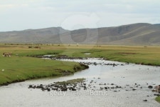 Die mongolische Steppe im Nationalpark Orkhon Tal 이미지 (47728...