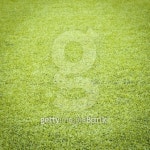 green artificial grass as background 이미지 (506366017) - 게티이미지뱅크 green artificial grass as background