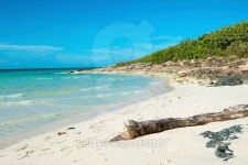 Idyllic Blue Beach in Cuba 이미지 (512995745) - 게티이미지뱅크 Idyllic Blue Beach in Cuba