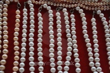Pearl Necklaces on Red Velvet 이미지 (508050579) - 게티이미지뱅크 Pearl Necklaces on Red Velvet