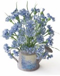 Blue Cornflowers in a Watering Can 이미지 (521933173) - 게티이미지뱅크 Blue Cornflowers in a Watering Can