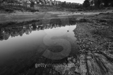 Forest reflected 이미지 (465355955) - 게티이미지뱅크 Forest reflected