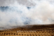 Gunsmoke, wrecked car and tracks from a tank 이미지 (510905023) - 게티이미지뱅크 Gunsmoke, wrecked car and tracks from a tank
