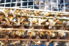 Solar dried fish on grill 이미지 (463138331) - 게티이미지뱅크 Solar dried fish on grill